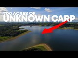 Carp Fishing a 700-acre lake in the UK