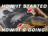 Carp Fishing GENIUS - is Andy Goulsbra that carp angler