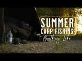 Summer Carp Fishing